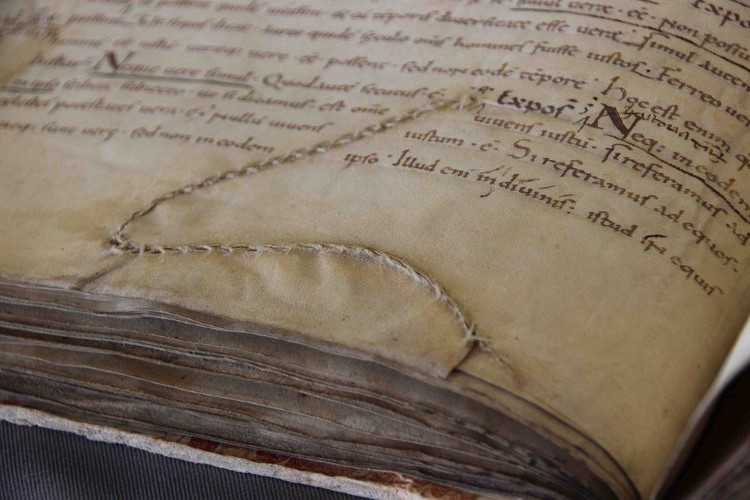Picture 8 of Medieval book art: Great creativity!