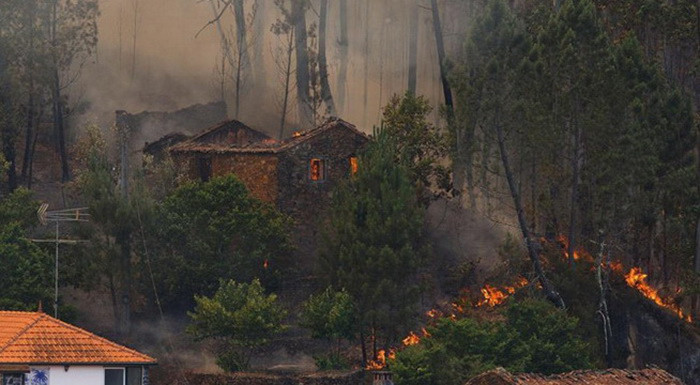 Picture 3 of Meeting disaster, why many people stand dead?