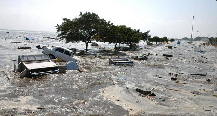 Picture 5 of Meeting disaster, why many people stand dead?