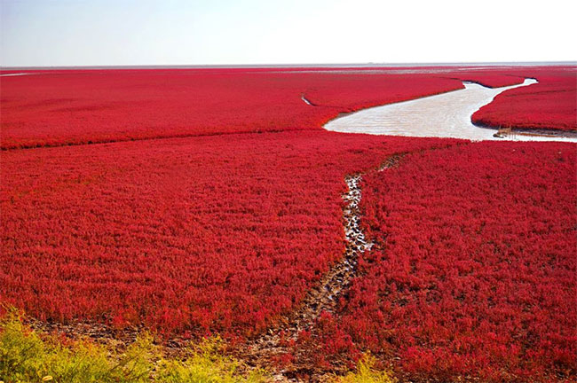 Picture 8 of Melt with the most colorful places on Earth