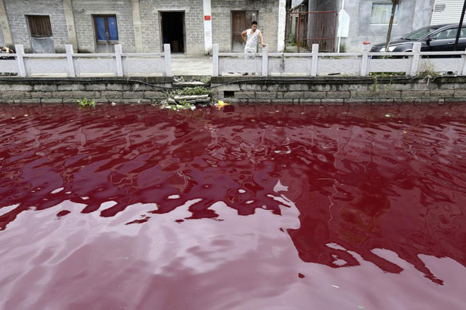 Picture 13 of Memorable environmental images in 2014