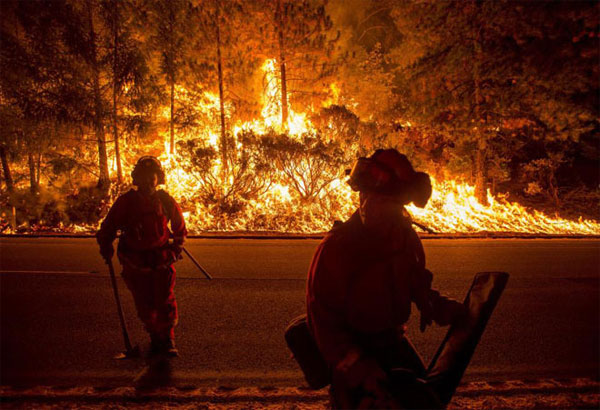 Picture 6 of Memorable environmental images in 2014