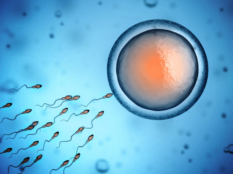 Picture 1 of Men are about to cure infertility by an extremely simple method