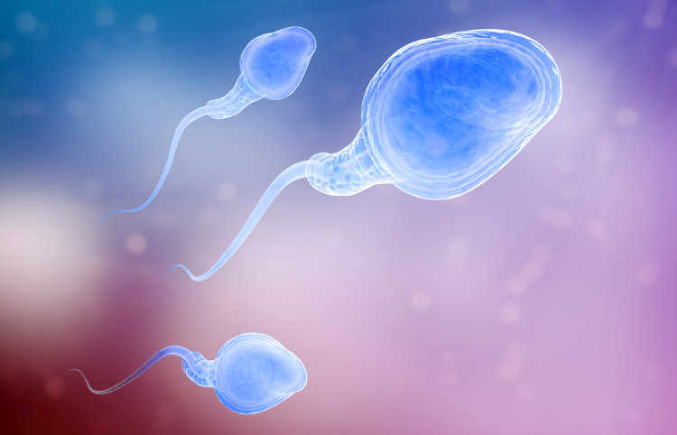 Picture 2 of Men are about to cure infertility by an extremely simple method