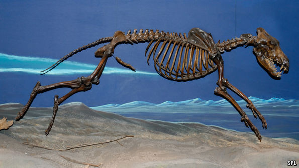 Picture 1 of Men used to have bones at that place but because they were faithful, they were no longer there