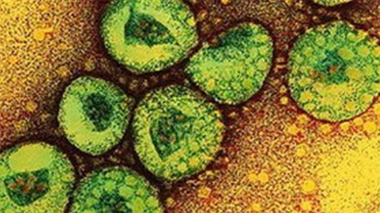 Picture 1 of MERS-CoV virus is less likely to spread into epidemics