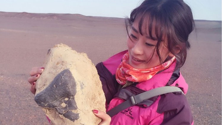 Picture 3 of Meteorite hunting: Journey to find treasure from the universe