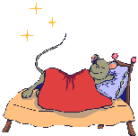 Mice also dream when they sleep images 1