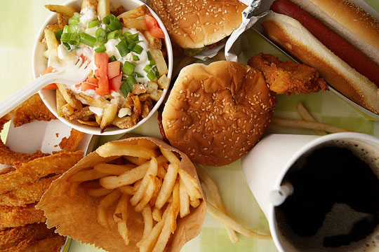 Picture 1 of Mice also rejected fast food because of poor nutrition