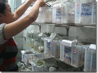 Picture 2 of Mice help the vaccine industry grow