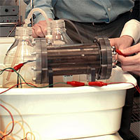 Picture 4 of Microbial energy cells