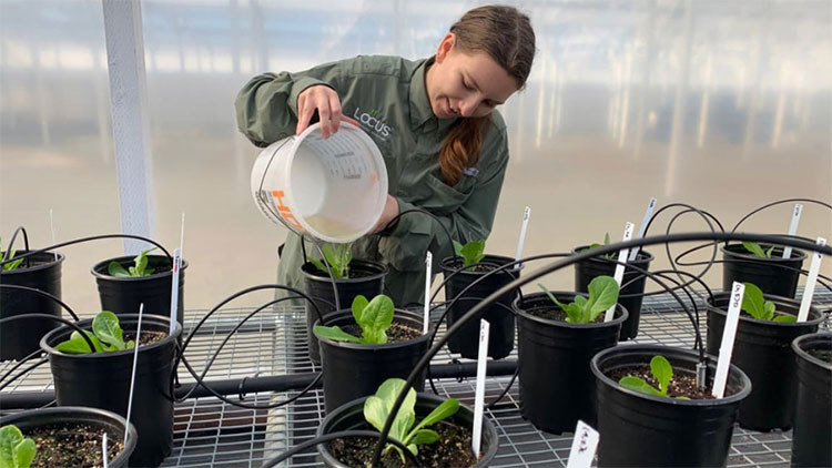 Picture 1 of Microbial enzyme technology to keep CO2 for soil