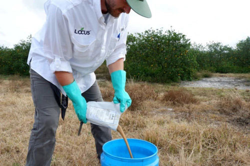 Picture 2 of Microbial enzyme technology to keep CO2 for soil