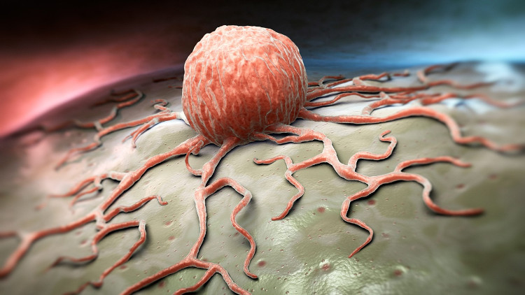Picture 3 of Microsoft claims: 10 years from now, humanity is released from cancer