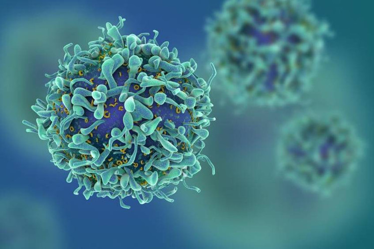 Picture 3 of Microsoft uses AI to build a database of human immune systems