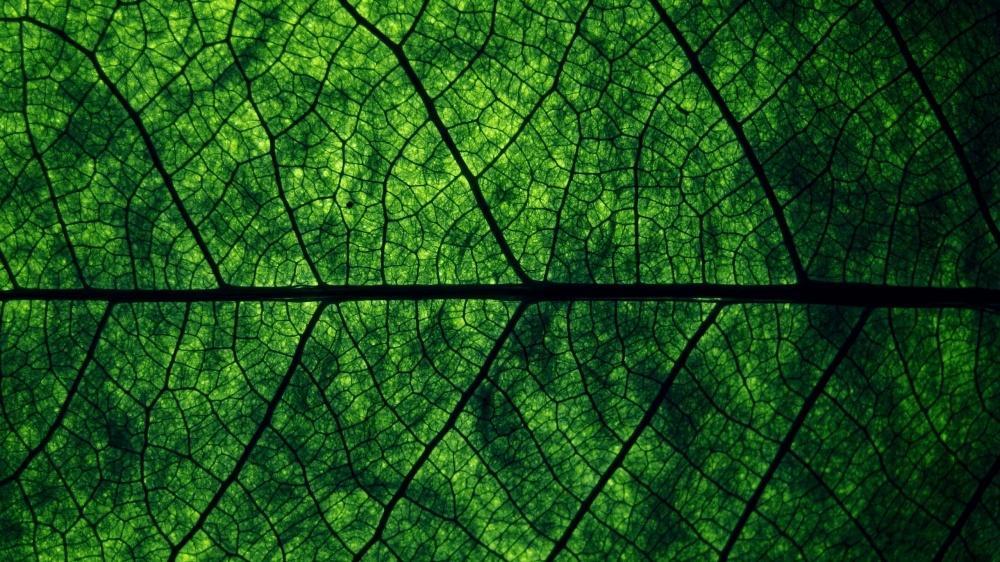 Picture 11 of Minimalistic photos and beautiful quality