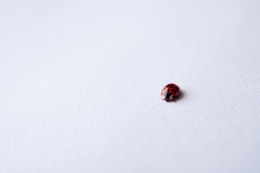 Picture 12 of Minimalistic photos and beautiful quality