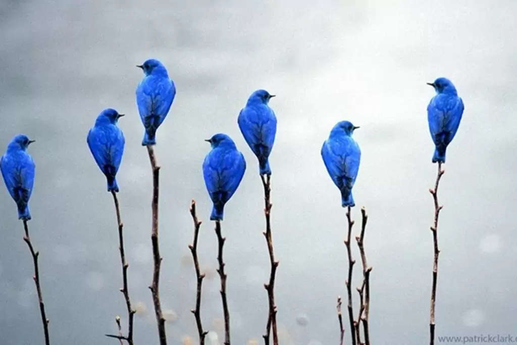 Picture 7 of Minimalistic photos and beautiful quality