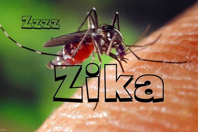 Picture 1 of Ministry of Health warned Zika virus circulated in the community