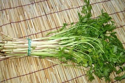 Picture 1 of Miracle cure for vegetables