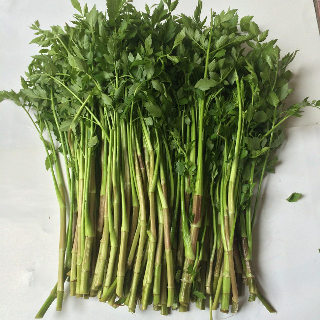 Picture 3 of Miracle cure for vegetables