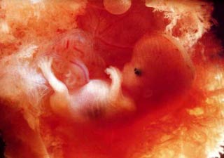 Miraculous ability of the fetus images 1