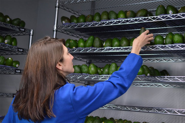 Picture 1 of Miraculous coating - spray on fruits and it will have 5 times longer shelf life