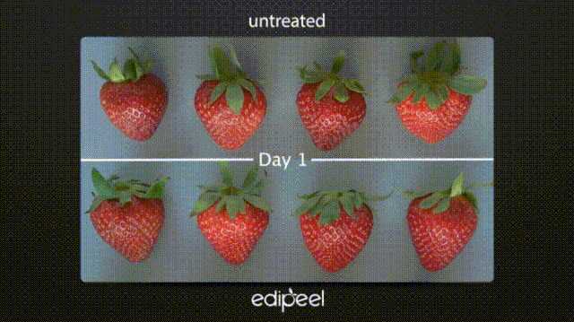 Picture 3 of Miraculous coating - spray on fruits and it will have 5 times longer shelf life