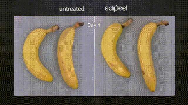 Picture 4 of Miraculous coating - spray on fruits and it will have 5 times longer shelf life