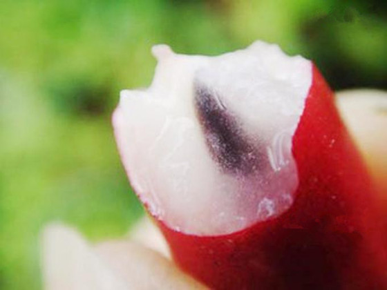 Picture 3 of Miraculous fruits in Vietnam can turn every taste into sweetness
