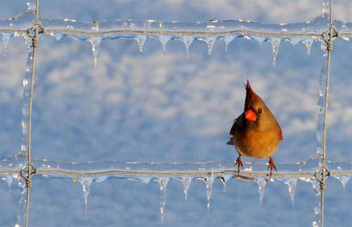 Miraculous moments of Mother Nature images 14
