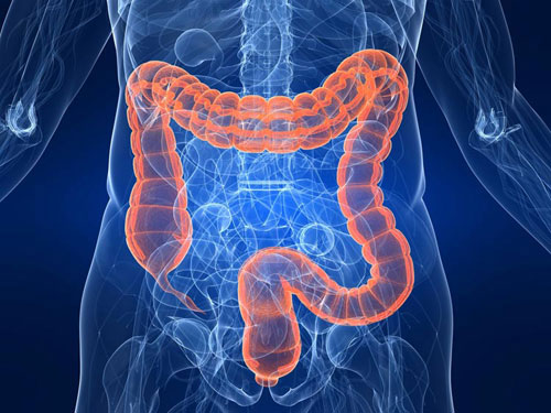 Picture 1 of Mistletoe extract helps treat colon cancer