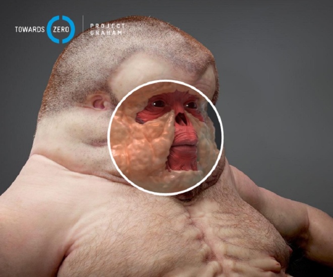 Picture 5 of Model of people who can survive in traffic accidents