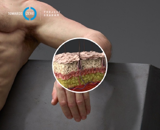 Picture 7 of Model of people who can survive in traffic accidents