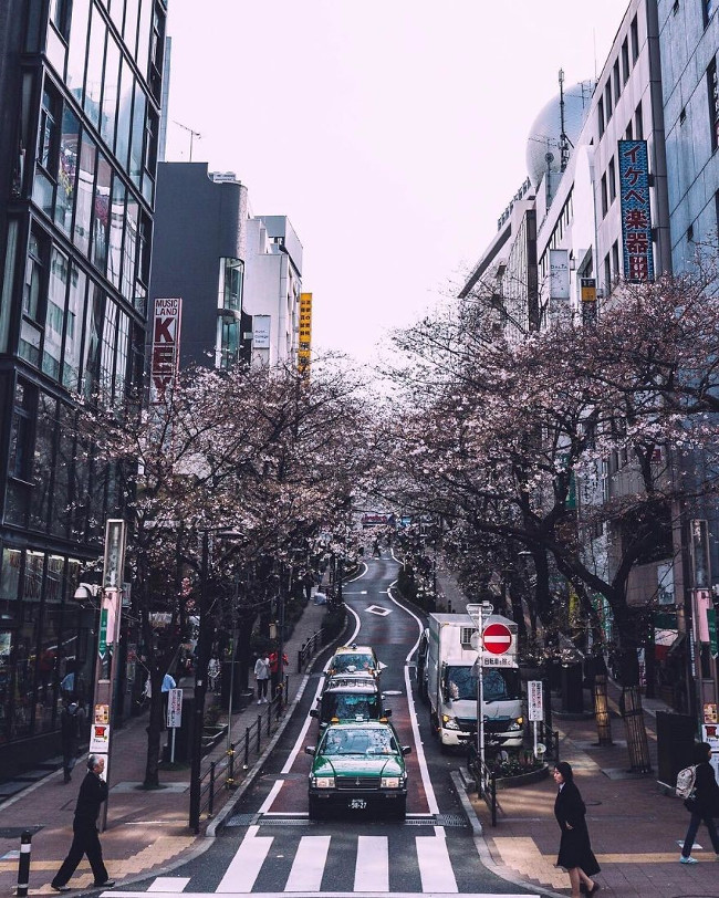 Picture 19 of Modern and ancient life in Japan