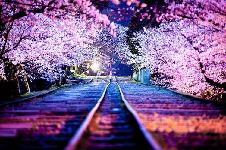 Picture 6 of Modern and ancient life in Japan