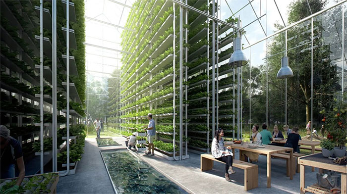 Picture 2 of Modern cities combine gardens and cow farms