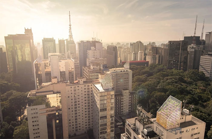 Picture 3 of Modern cities combine gardens and cow farms