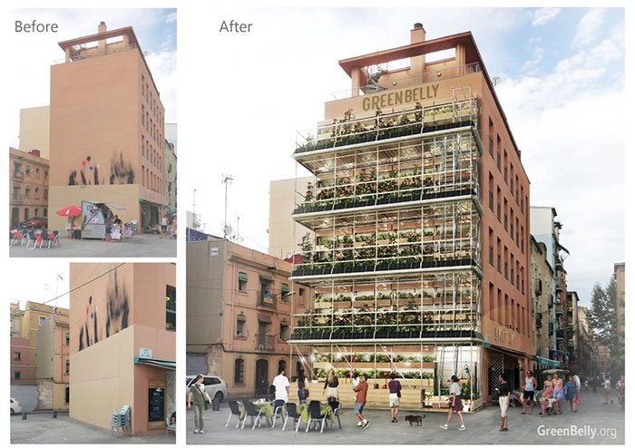 Picture 6 of Modern cities combine gardens and cow farms