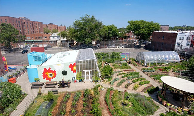 Picture 9 of Modern cities combine gardens and cow farms