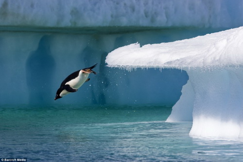 Picture 1 of Modern technology to explore the ocean