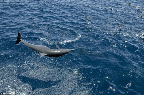 Picture 2 of Modern technology to explore the ocean
