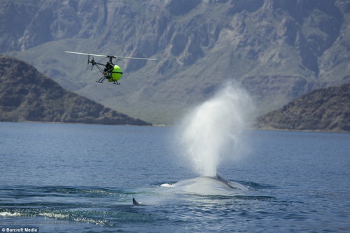 Picture 3 of Modern technology to explore the ocean