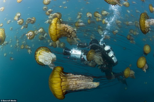 Picture 4 of Modern technology to explore the ocean