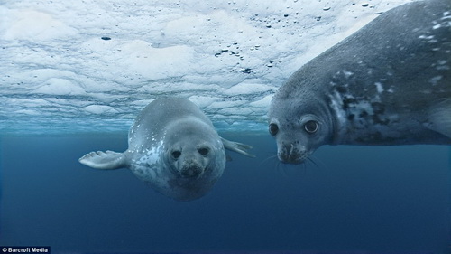 Picture 8 of Modern technology to explore the ocean