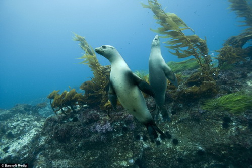 Picture 9 of Modern technology to explore the ocean