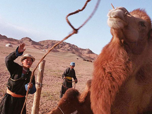 Picture 2 of Mongolia: The price paid for the environment