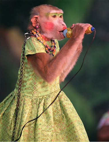 Picture 2 of Monkey making circus