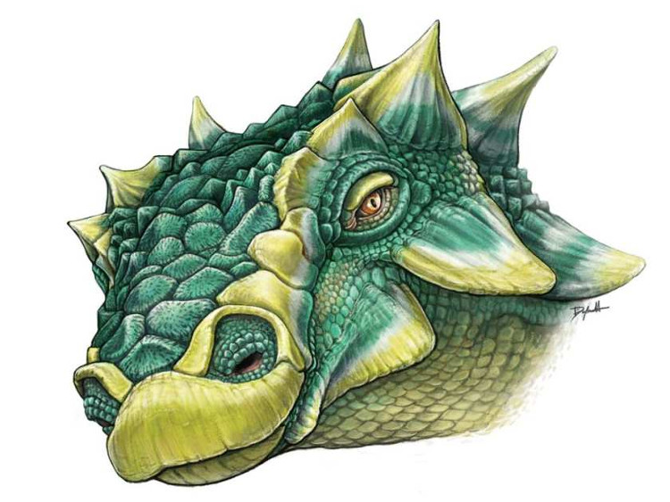 Picture 1 of Monster monster filled with prickly horns on the face