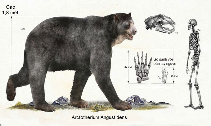 Picture 10 of Monsters that dominated the prehistoric world